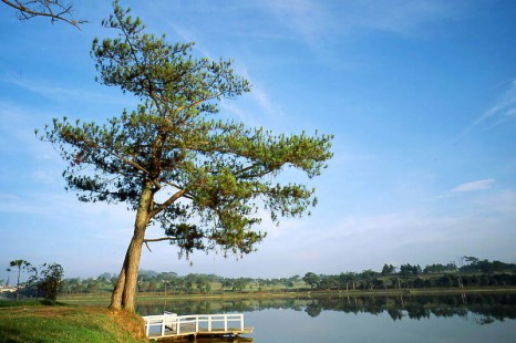 Tour Du Lịch Madagui Đambri 2 Ngày 1 Đêm